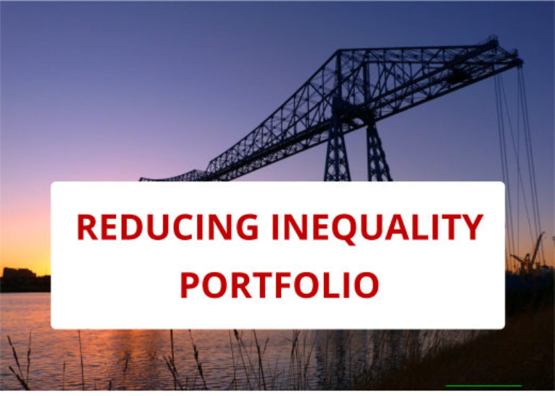 Reducing Inequality Portfolio